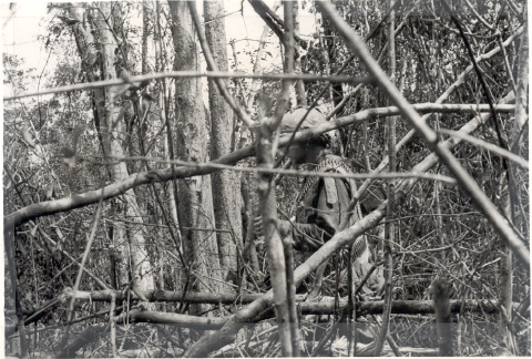 Trapazoid BOMBED OUT AREA, Nov '67